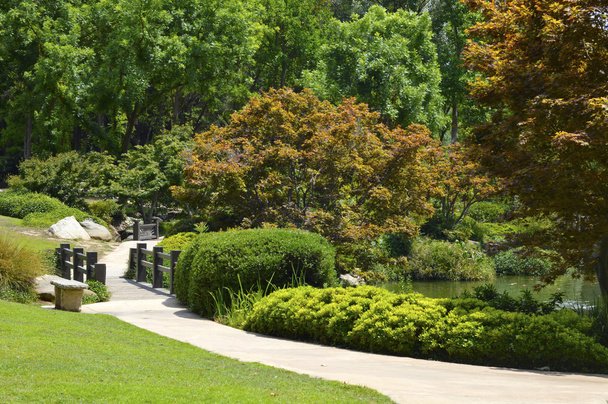 Japonês jardim verde
 - Foto, Imagem