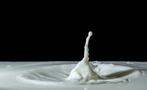 Splashing milk isolated on black background - Fotoğraf, Görsel