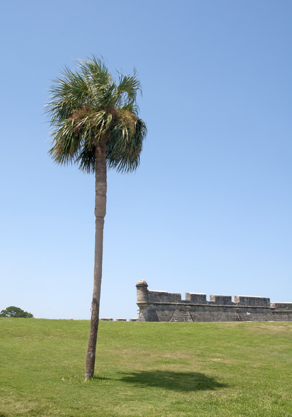 Castillo de San Marcos
 - Foto, imagen