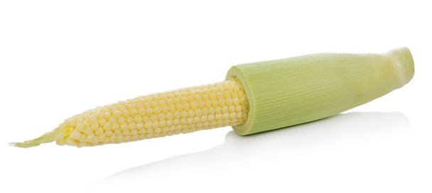 junge kleine Mais auf weißem Hintergrund - Foto, Bild
