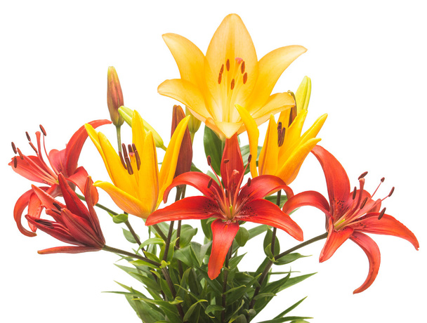 букет з квітів лілії
  - Фото, зображення