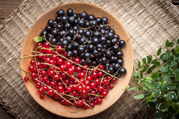 Redcurrant and blackcurrant in bowl. - Foto, afbeelding