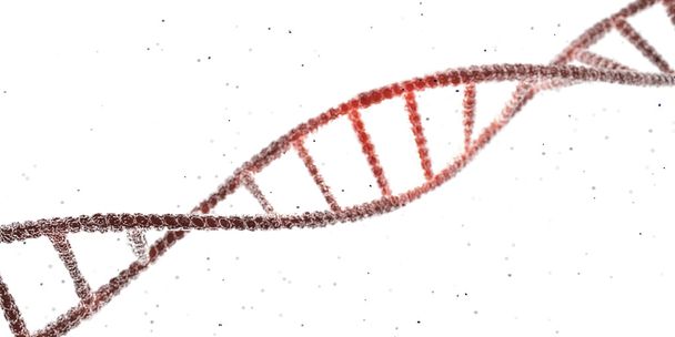 Illustrazione 3d della catena del DNA isolata su sfondo bianco
 - Foto, immagini
