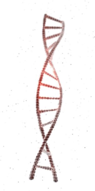 3D иллюстрация цепи ДНК изолированы на белом фоне
 - Фото, изображение