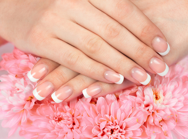 female hands with perfect french manicure - Photo, Image