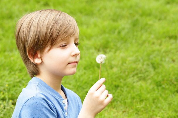 aranyos szőke fiú ül a zöld fű és fúj el pitypang - Fotó, kép