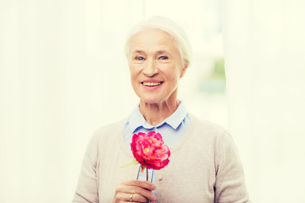 happy smiling senior woman with flower at home - Foto, Bild