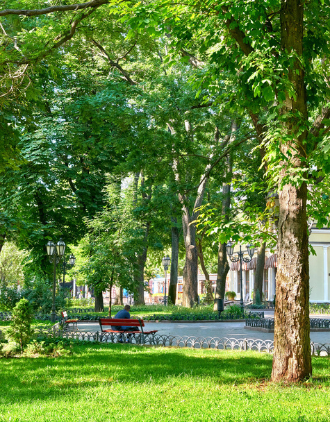 parque da cidade verde na temporada de verão, luz solar brilhante e sombras, b
 - Foto, Imagem