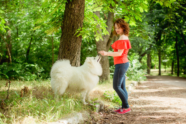 公園でのサモエド犬を持つ女性 - 写真・画像