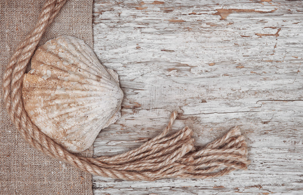 Grunge background with seashell, rope on sackcloth  - Zdjęcie, obraz