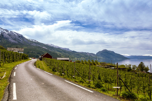 norwegian road  a  - Foto, afbeelding
