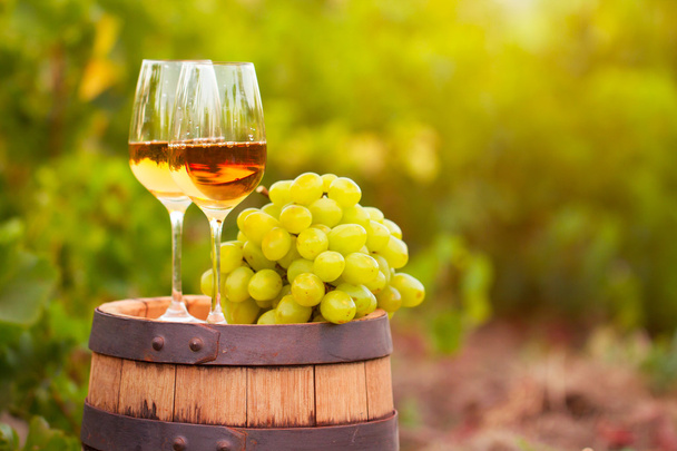 Sklenice na bílé víno, mladé víno a hrozen proti vineya - Fotografie, Obrázek
