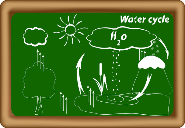 κύκλος του νερού. υδρολογικός κύκλος. H2O κύκλου - Διάνυσμα, εικόνα