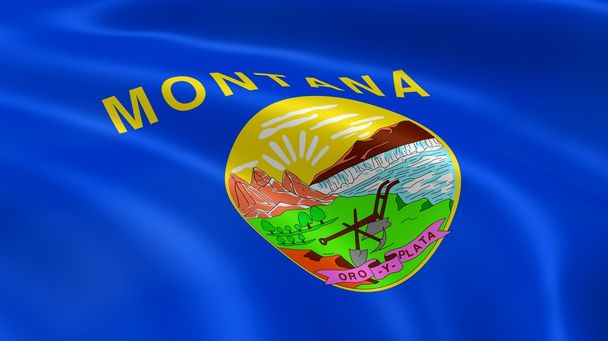 Montanan zászló a szélben - Fotó, kép