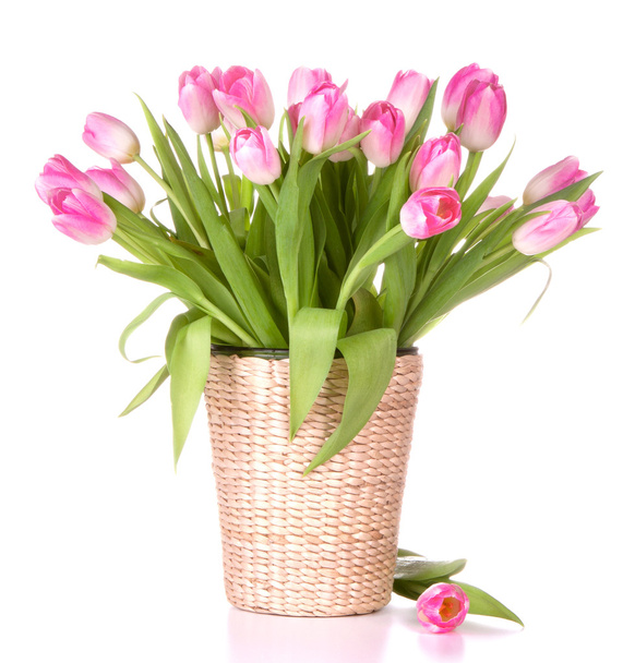 Pink tulips bouquet in vase isolated on white background - Foto, Bild