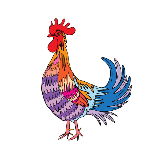 Rooster in color, hand drawing cock on white.   - Fotoğraf, Görsel