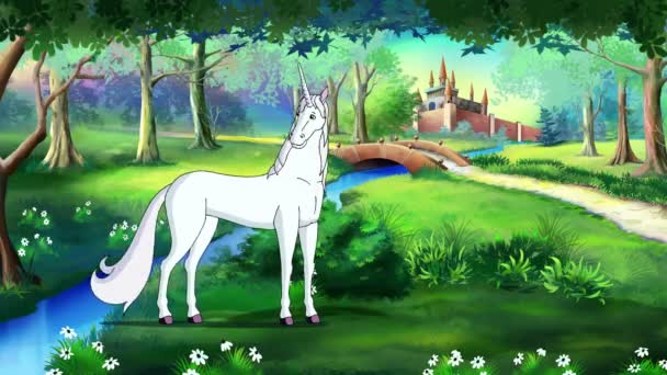 Fairy Tale jednorożca w magicznym lesie - Materiał filmowy, wideo