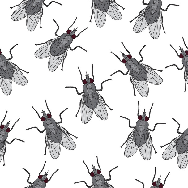 Fly insect seamless texture. Fly wallpaper, background. Vector illustration - Vektor, obrázek