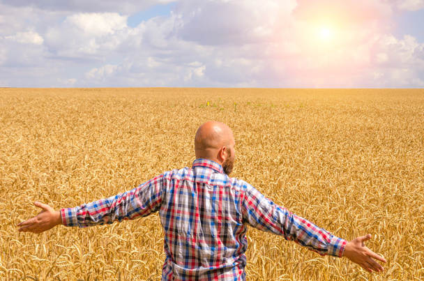 Gelukkig haarloze boer met baard in rijpe tarweveld met handsup aan een blauwe hemel. grote oogst - Foto, afbeelding