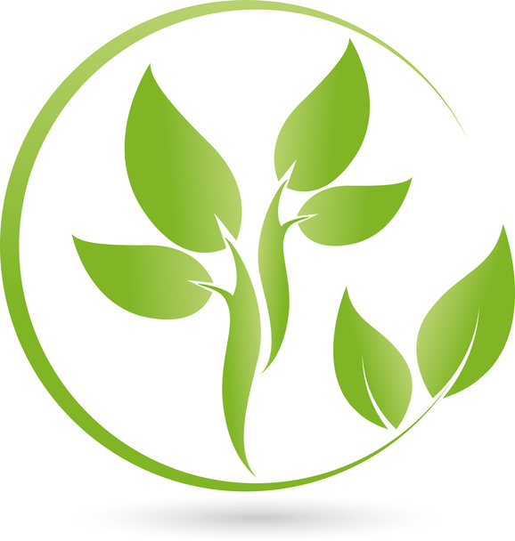Pflanze, logotipo de Blatt, Bio, Heilpraktiker - Vector, imagen