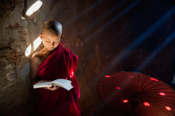 Young Buddhist monk reading - Photo, Image