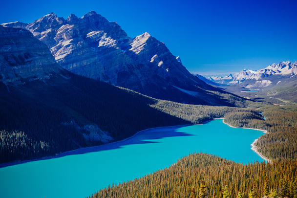 Peyto Lake, Banff National Park, Rocky Dağları, Alberta, Canad - Fotoğraf, Görsel
