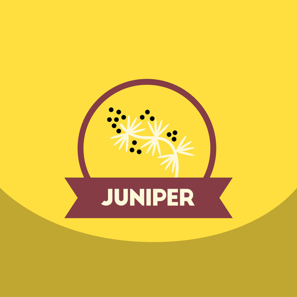 platte vector icon design collectie keukengerei kruiden juniper - Vector, afbeelding