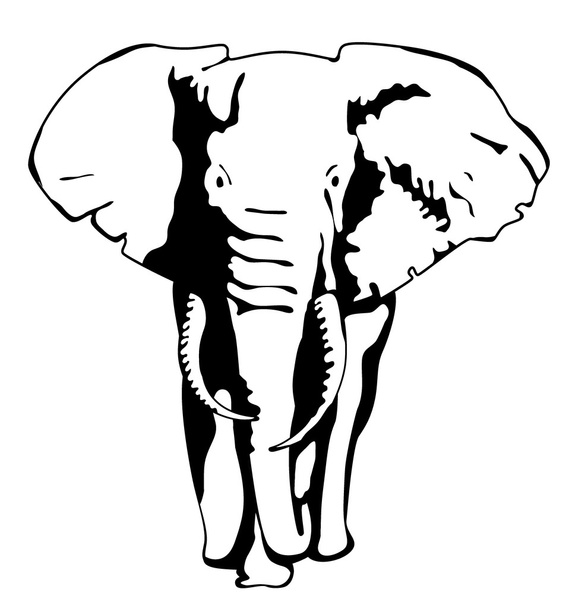 Zeichnung Silhouette eines bewegten Elefanten - Vektor, Bild
