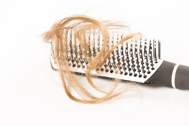 Hair Loss on white background - Фото, зображення