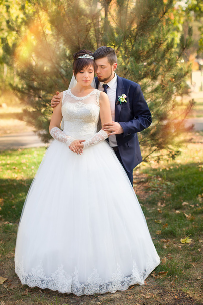 Stylish newlyweds on their wedding day - Фото, изображение