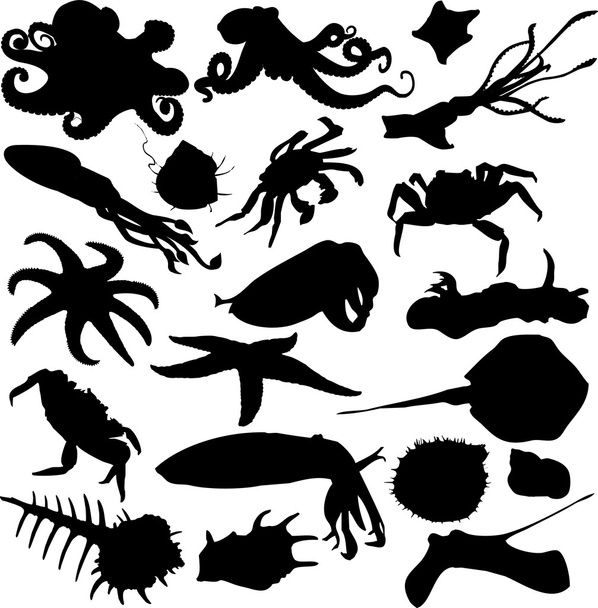 Marine animals - Vetor, Imagem