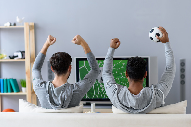 Friends enjoying soccer in TV - Fotoğraf, Görsel