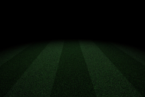zweifarbiges Fußballfeld im Dunkeln - Foto, Bild