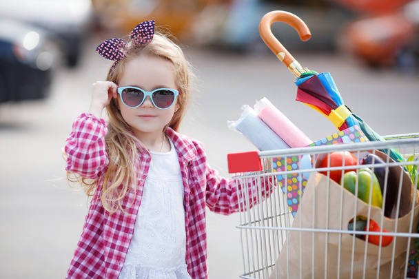Little girl with shopping cart with products - Фото, изображение