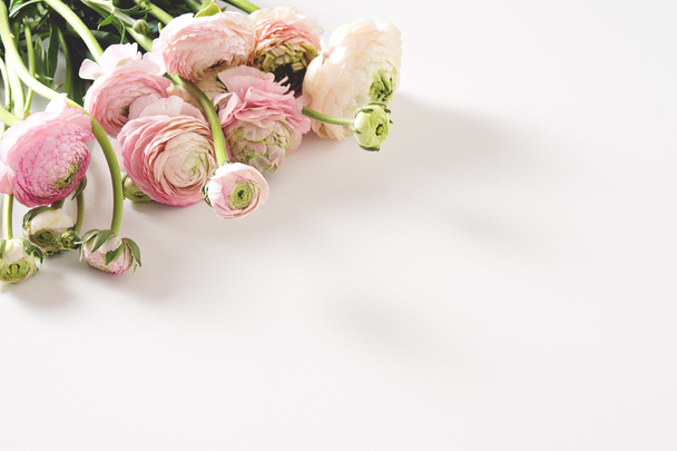 Jaskier różowe kwiaty  - Zdjęcie, obraz