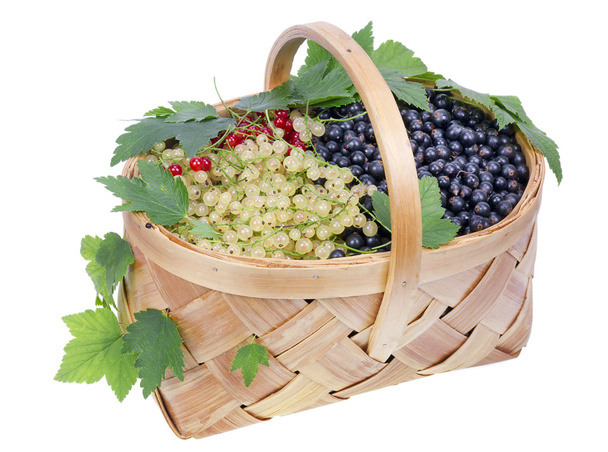 Big basket with currant isolated - Photo, Image