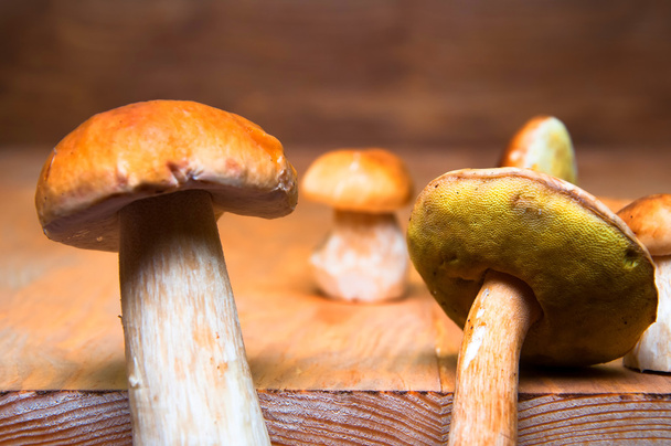Mushrooms boletus on wooden table - Photo, Image