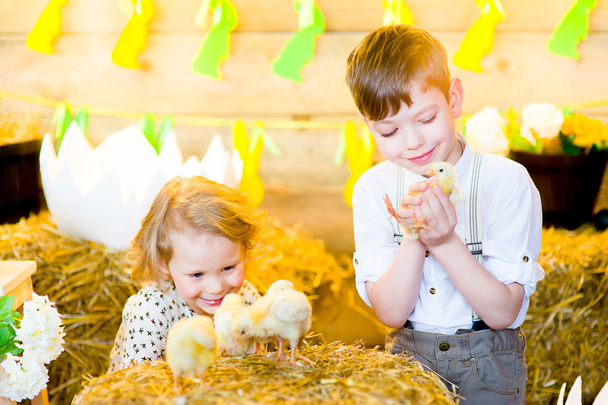 boy with the girl on hay with chickens - Foto, Imagen