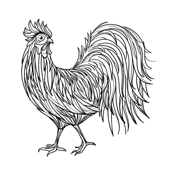 Hand drawn outline rooster illustration. - Vettoriali, immagini