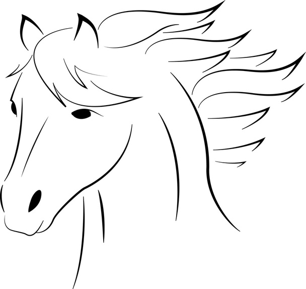 Vector image of an horse on white background - Foto, afbeelding