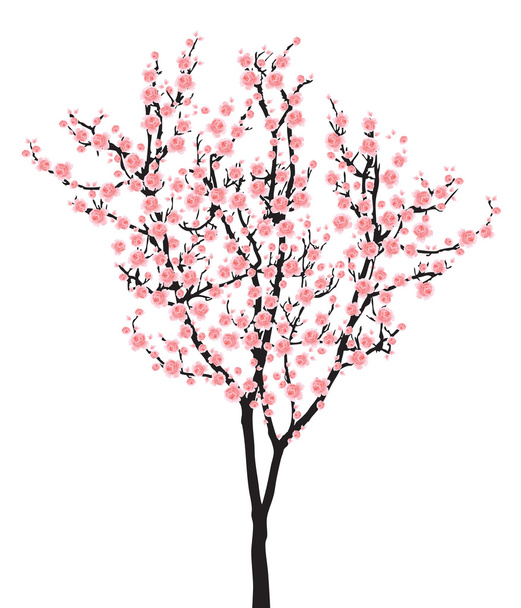 Πλήρη άνθιση ροζ sakura δέντρο (Κερασιά) σε μαύρο ξύλο - Διάνυσμα, εικόνα