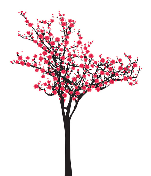volle Blüte roter Sakura-Baum (Kirschblüte) auf schwarzem Holz - Vektor, Bild