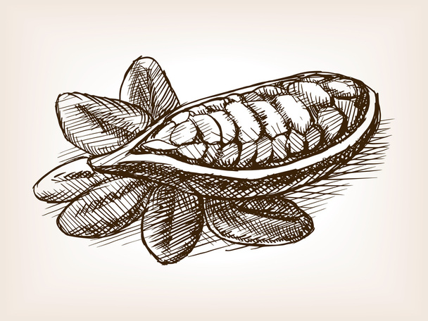 Cocoa bean plant hand drawn sketch style vector - Wektor, obraz