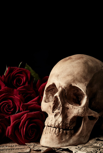 Cráneo con rosas rojas a
 - Foto, imagen
