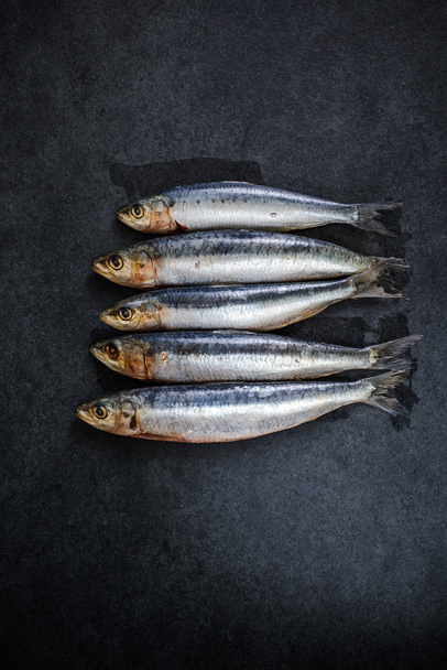 pesce intero crudo di sardine
 - Foto, immagini