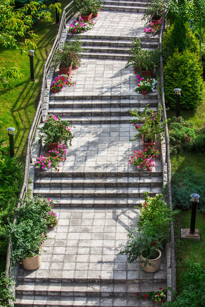кам'яні сходинки з квітами
 - Фото, зображення