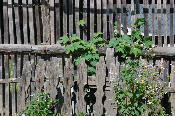 επιδεινώθηκε παλιά φράχτη - Φωτογραφία, εικόνα