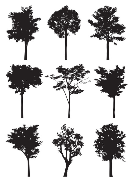Sada devíti stromů vektorové siluetu, lesní stín scénu krajina - Vektor, obrázek