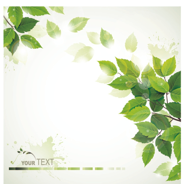 Green leaves - Διάνυσμα, εικόνα