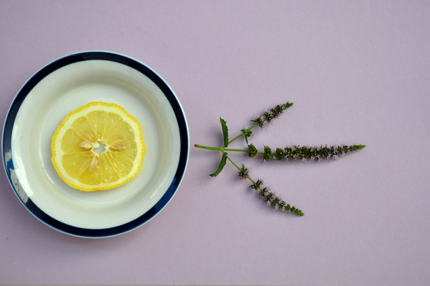 mint and lemon - Фото, зображення